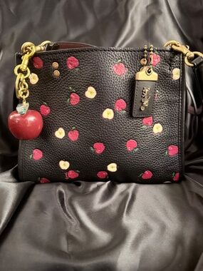 EUC!!  Coach 76054 Rogue 25 Scattered Apple Print Japan Limited Release